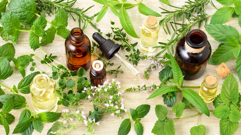 fresh herbs, flowers and massage oil on the wooden board