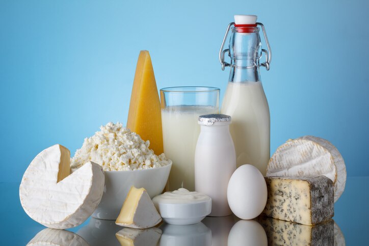 Dairy products, milk, cheese, egg, yogurt, sour cream, cottage cheese and butter on blue background still life