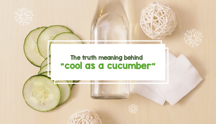 the-true-meaning-behind-cool-as-a-cucumber-watsons-ph