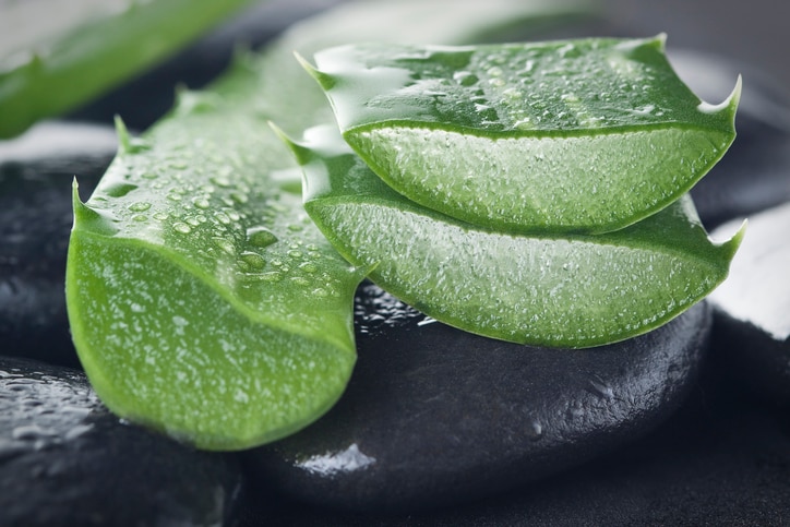 Aloe vera with water droplets on pebble background. You may also like: