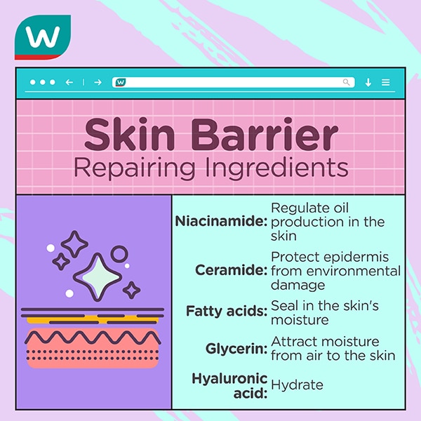 Ingredients that help to repair your skin barrier