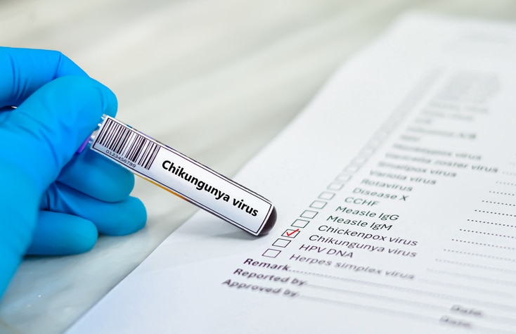 Mosquito-borne diseases? Tips to protect yourself from mosquito bites during travel