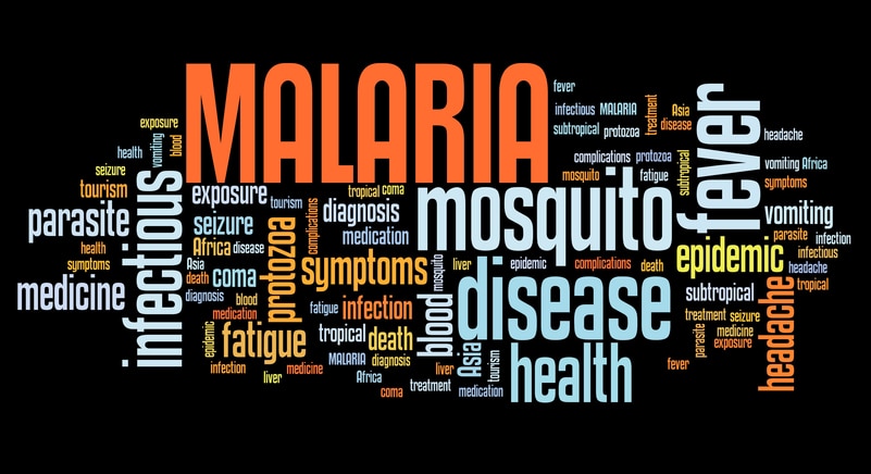 Mosquito-borne diseases? Tips to protect yourself from mosquito bites during travel