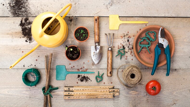 A group of gardening tools, MBTI 16 Personalities – The best self-care gift for ISTP