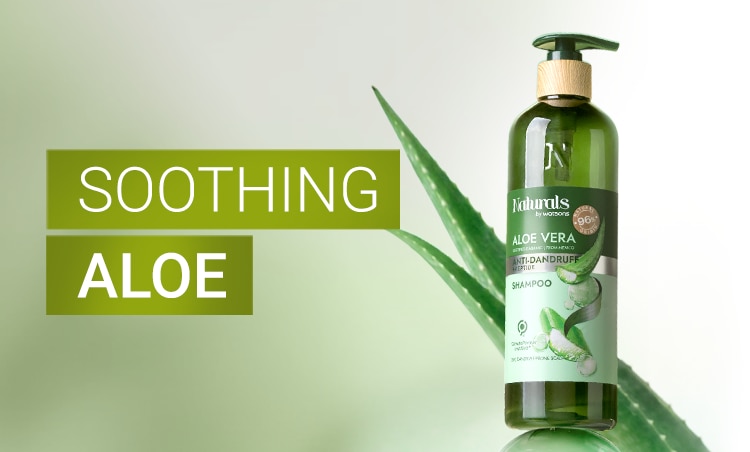 naturals by watsons, organic hair care, hair care, aloe vera, rosemary, argan oil, shampoo, conditioner, tonic, scalp, dandruff