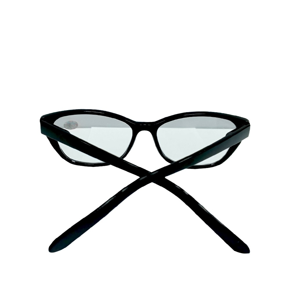 CHAMPION Reading Eyeglasses Basic Plain Model FB-9093 275-50046728.jpg